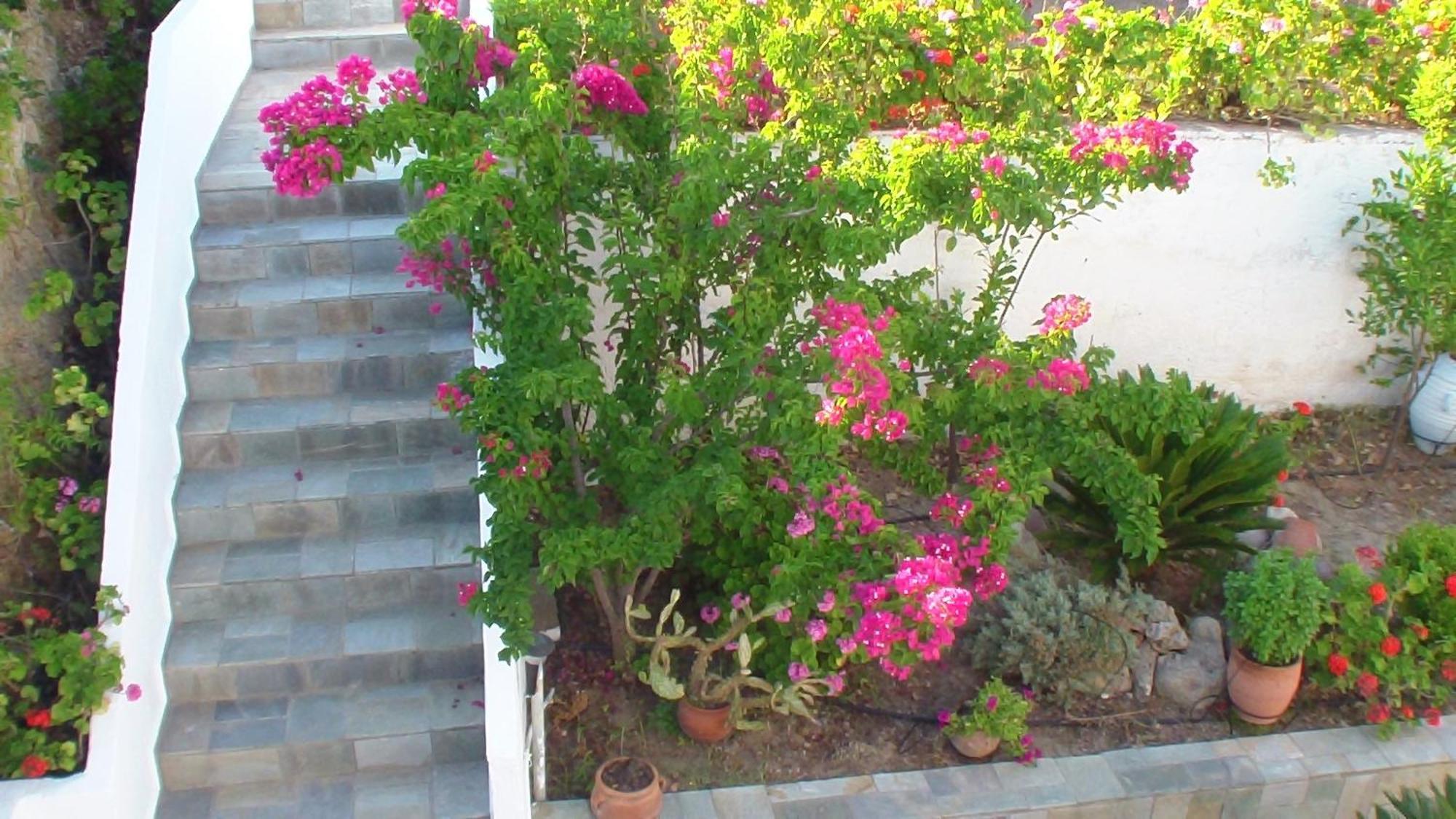 Creta Vassakis Studios Kefalos  Екстер'єр фото